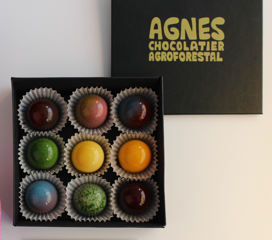 Elección del Chef - Primera Edición 2025